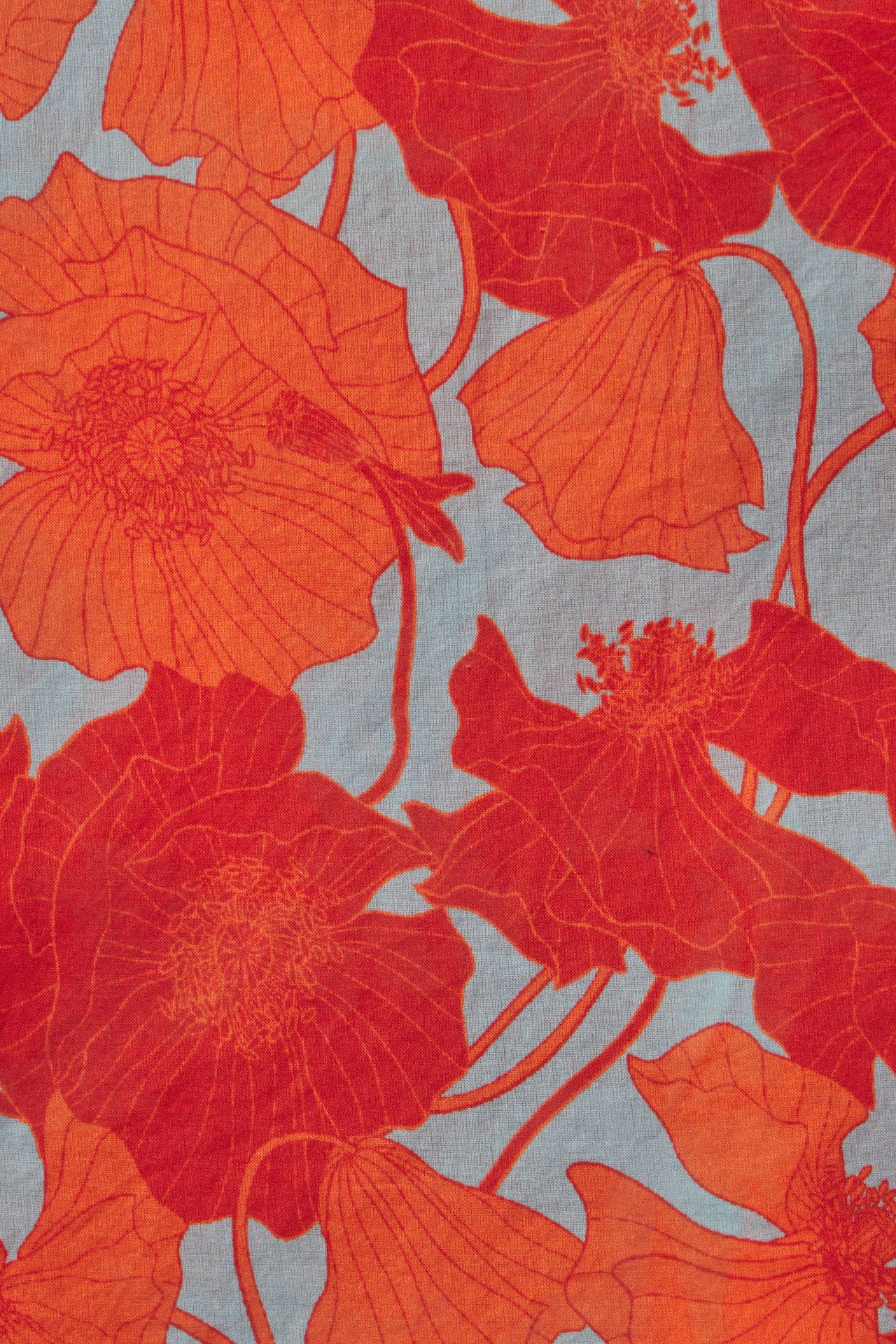 Playa Sarong Shoreline Poppy