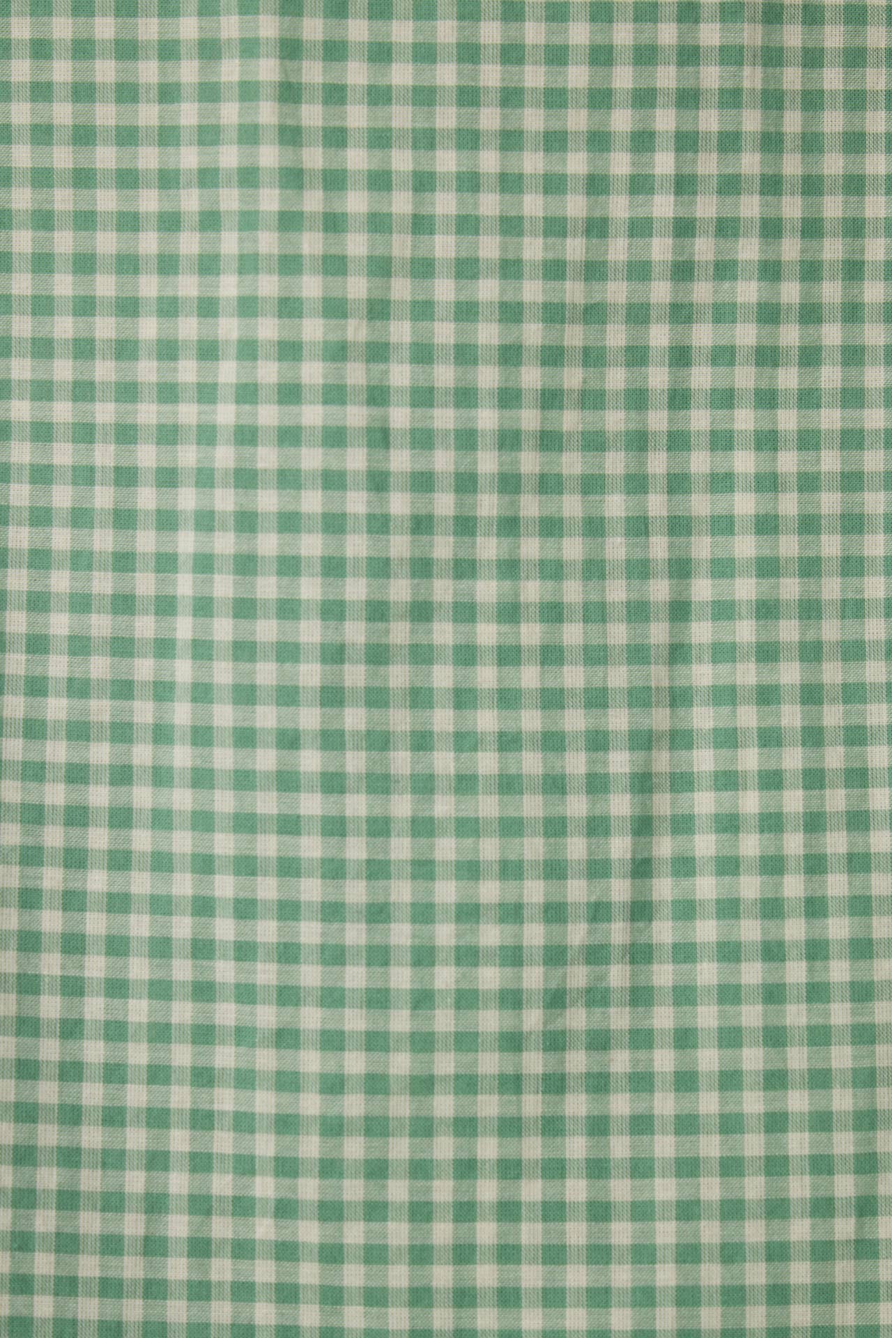 Della Shirt Pistachio Gingham